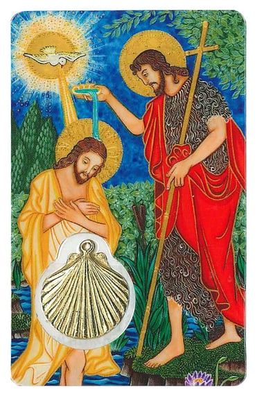 C1131-cropped