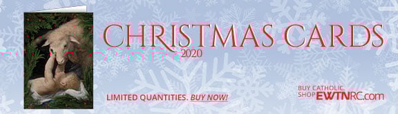 ChristmasCards_2020_Wings
