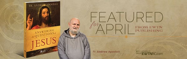 80169_Answering-the-Questions-of-Jesus-Fr-Apostoli_Wings