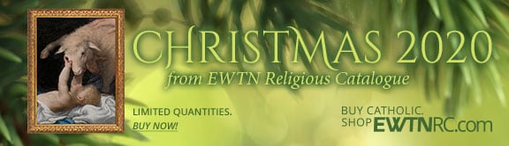 Christmas_2020_Wings