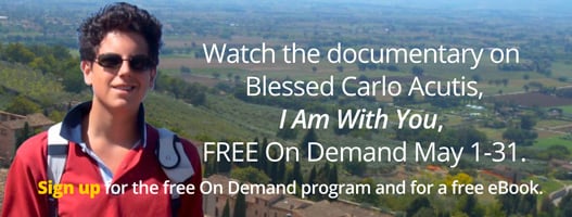 MA-Lit-site-Carlo-Acutis-I-Am-the-Way-W-527x200