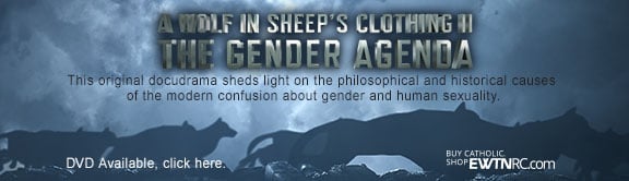 WISC_Gender_Agenda_RC_Wings
