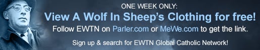 W_Banner_a_wolf_free_view_20 (1)