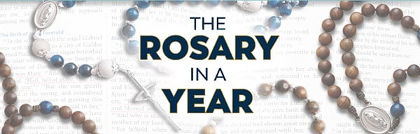 rosary-in-a-year-2025_Wings